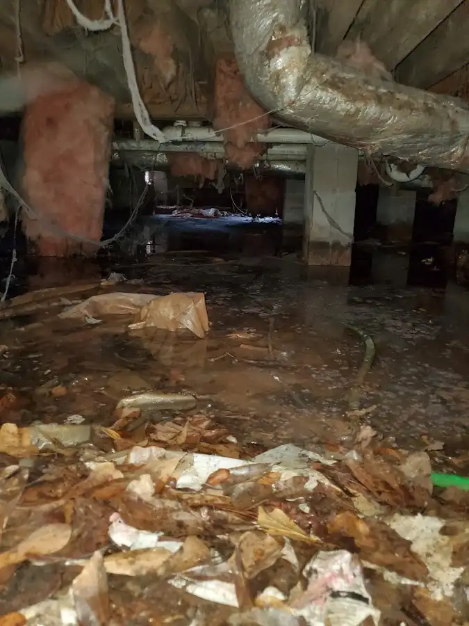 Crawl space flood assessment for Leak Detection & Repair in Springfield