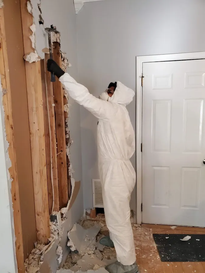 Storm Damage Restoration in Springfield, IL